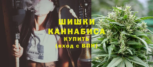 2c-b Кукмор
